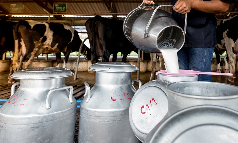 Filière laitière : Lancement de nouvelles mesures pour soutenir l’activité